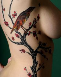 Large Image Of A Lovely Cherry Blossom Tattoo On What I Presume Is The Side Of A Hot Chick!