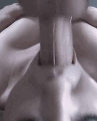 Pretty babes sucking cocks set by ‘The Art of the Blowjob’